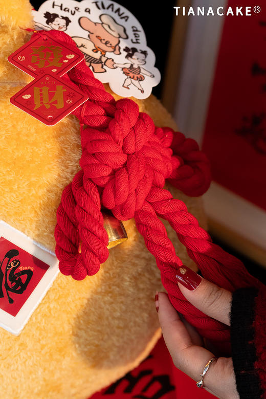 𝟮𝟬𝟮𝟱蛇年特献🏮🧧钱途无量🧧🏮 商品图5