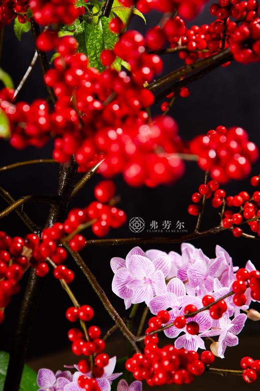 旗开得胜 商品图2