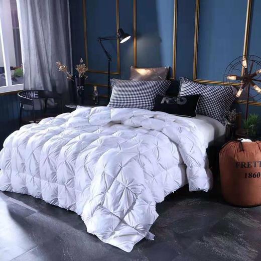 弗雷特羽绒被 意大利品牌，FRETTE 芙蕾特，真正的好羽绒被。 商品图0