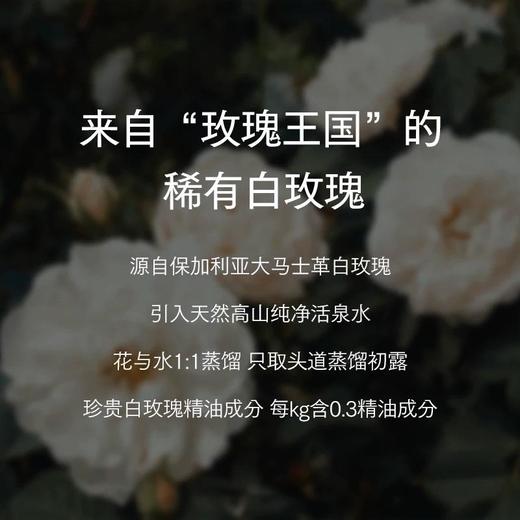 保加利亚稀有白玫瑰精油水光玻尿酸喷雾补水锁水提亮抗菌110ml 商品图3