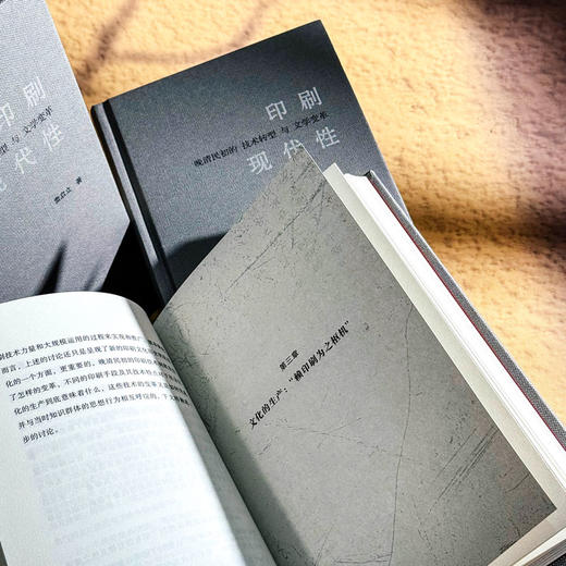 印刷现代性 晚清民初的技术转型与文学变革 雷启立 中国文学 商品图10