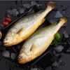 【秒杀单品】黄鱼小姐雪菜黄花鱼_495g/袋【021】 商品缩略图0