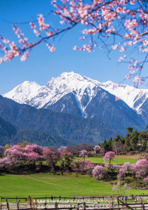 【花开西藏】直达西藏全景环游有氧列车12天 商品图1