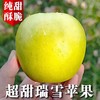栒邑红 正宗陕西旬邑高原瑞雪苹果  新鲜水果青苹果礼盒装生鲜 含糖高 汁水丰盈 国货苹果 商品缩略图0