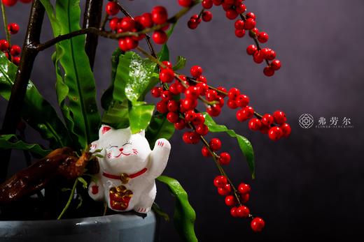 鸿运当头 商品图2