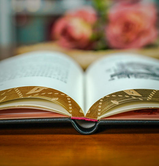 【限量珍藏版】《爱丽丝漫游奇境》兔子先生奇幻档 商品图3