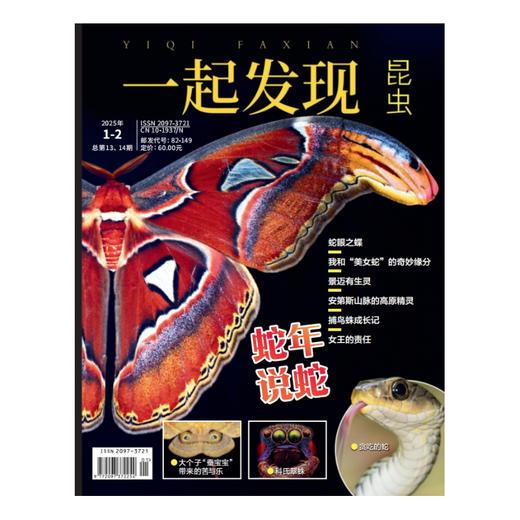 2025年《一起发现》全年10本一次发出 商品图6