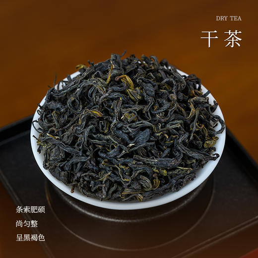 懂茶帝-韦洁群2023年清明六堡茶（七星茶王）250g 商品图1