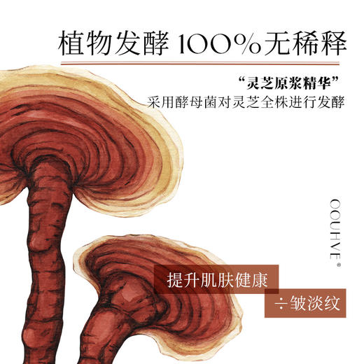 1OO%灵芝发酵次抛精华紧致提升高光泽感促生胶原抗老抚纹 商品图2