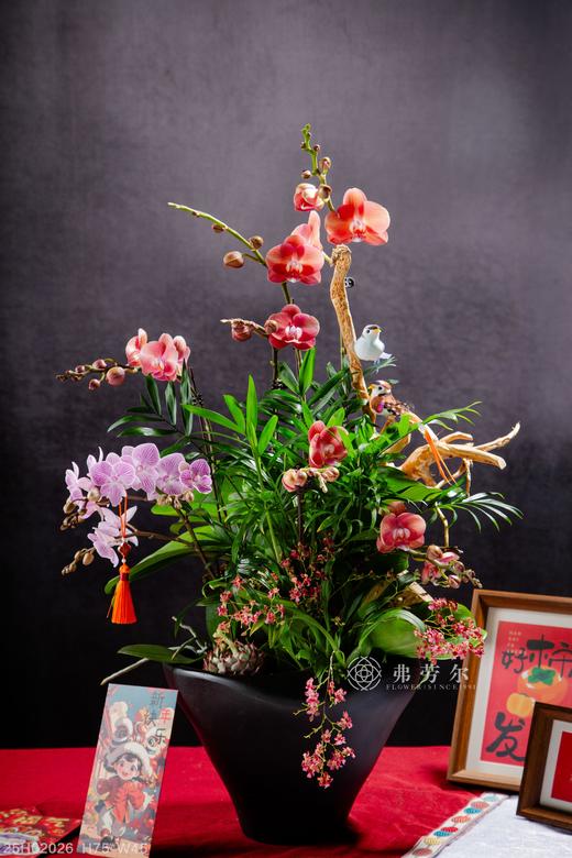 灵蛇之珠 商品图0