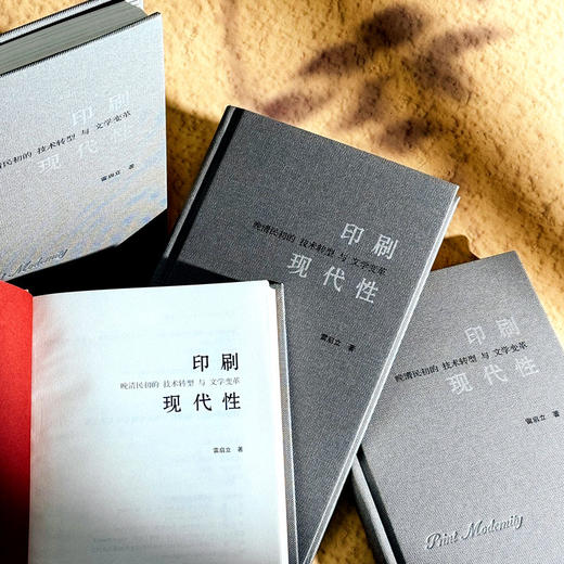印刷现代性 晚清民初的技术转型与文学变革 雷启立 中国文学 商品图3