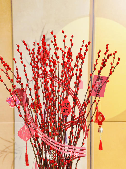 年年有银留（红色款） 商品图3