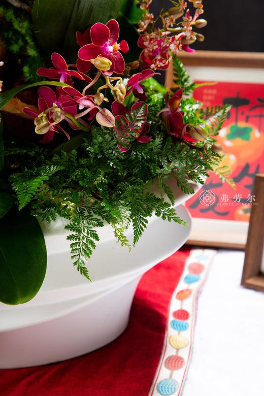 蛇年鸿运 商品图5