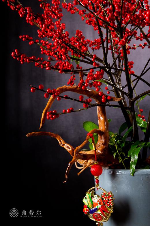 鸿运当头 商品图3