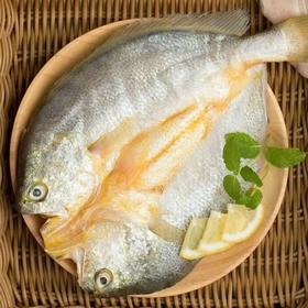 黄鱼小姐黄鱼鲞_250g【021】