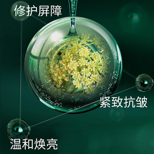 新品上市🎊秘密悦色 绿宝瓶紧肤抗皱精灵乳50ml 商品图2