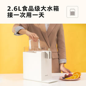 飞利浦 （ PHILIPS ）即热饮水机家用直饮台式速热一体机免安装小白熊ADD4812