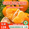 包邮【厂商直发】有机春见耙耙柑5斤/8斤装 果肉饱满多汁 商品缩略图10