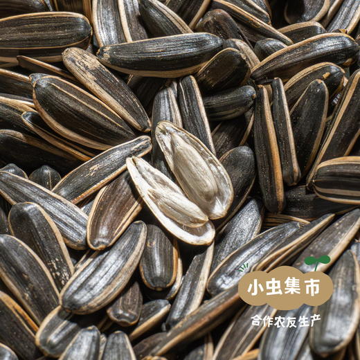 生态葵瓜子 | 合作农友生产，产自山西大同，生产者：赵飞 &【公平贸易农人定价】 商品图1