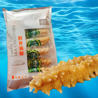 鲜食野生黄肉海参500g约9-10条 商品图0