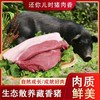 立景母乳山黑猪肉农家散养18个月现杀土猪肉前腿肉五花肉后腿肉排骨 商品缩略图0