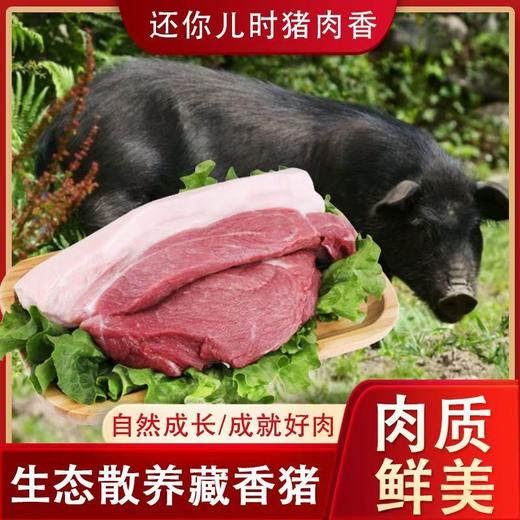 立景母乳山黑猪肉农家散养18个月现杀土猪肉前腿肉五花肉后腿肉排骨 商品图0