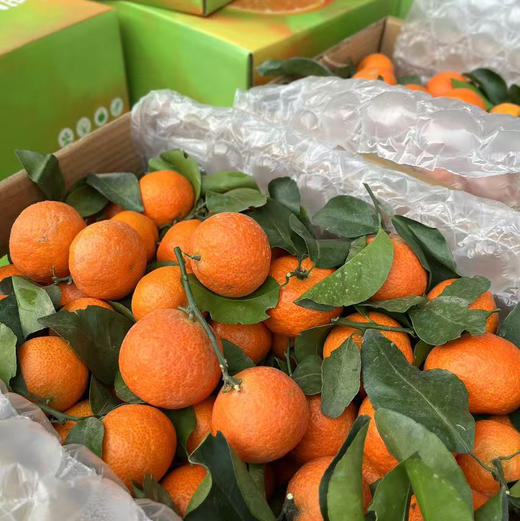 【正宗砂糖橘】不打蜡，无保鲜剂，没有高科技与狠活，卖的是健康的砂糖橘🍊 商品图2