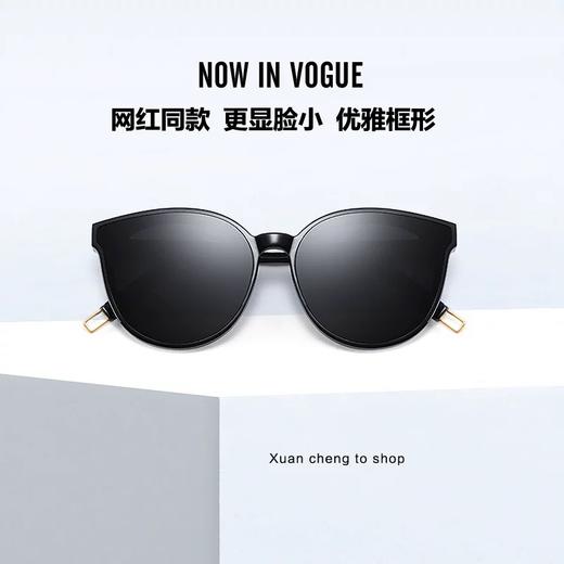 明星同款时尚太阳眼镜墨镜/V9210510YJ01 商品图1