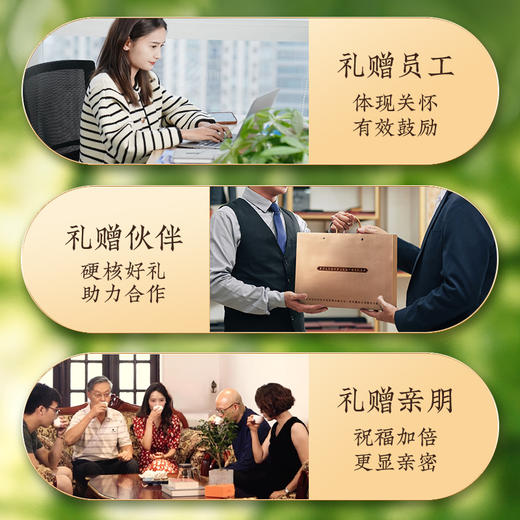 【拍一提5饼更优惠】澜沧古茶2024年鼎和景迈 景迈山申遗一周年纪念茶普洱茶生茶景迈古树春茶小饼200g 商品图4