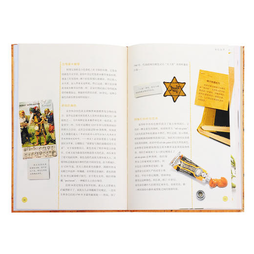 染色植物  [法] 尚黛儿· 德尔凡 埃里克·吉通 著  三联书店 商品图3