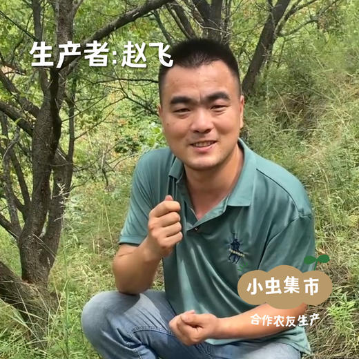 生态葵瓜子 | 合作农友生产，产自山西大同，生产者：赵飞 &【公平贸易农人定价】 商品图4