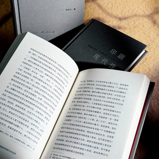 印刷现代性 晚清民初的技术转型与文学变革 雷启立 中国文学 商品图12