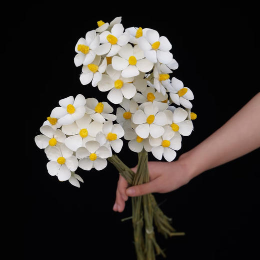 配花-紫罗兰干花(小白花) 商品图0