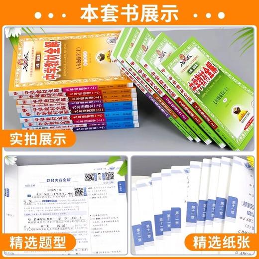 2026薛金星上册下册中学教材全解同步初中教材解读资料辅导浙江专版 商品图1