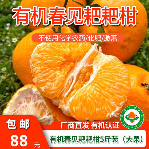 包邮【厂商直发】有机春见耙耙柑5斤/8斤装 果肉饱满多汁 商品图12
