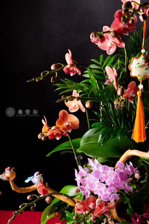 蛇年鸿运 商品图2