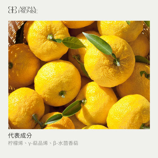 日本柚子精油5ml 有效期至26年8月30日清爽柚子香果香 商品图1