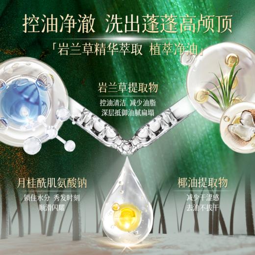 安芝莉 岩兰草自然蓬松洗发水 500ml 商品图2