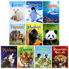 尤斯伯恩初学者系列 科学 历史 动物 10本盒装 Usborne Beginners Science Boxset 10 books英文原版 儿童科普绘本读物 精装 商品缩略图9