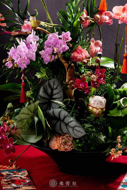 合家团圆 商品图2