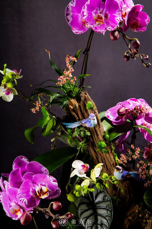 喜庆盈门 商品图2