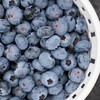 云南高山花香树上熟蓝莓  125g/盒  （酸甜可口） 商品缩略图1