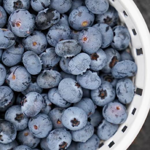 云南高山花香树上熟蓝莓  125g/盒  （酸甜可口） 商品图1