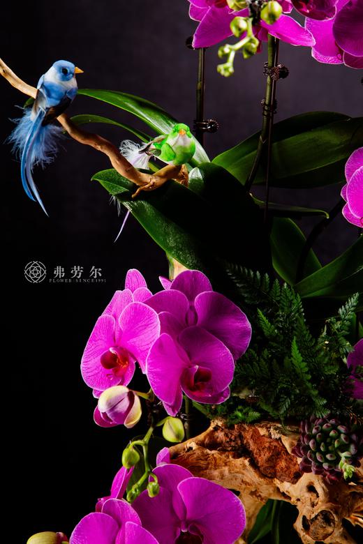 福满人间 商品图2