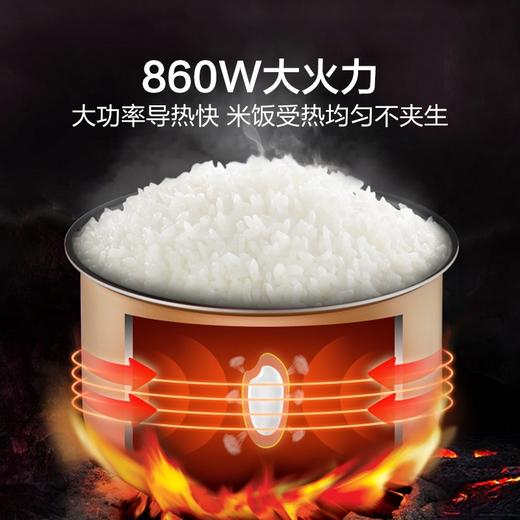 苏泊尔电饭煲5L.SF50FC596 商品图4