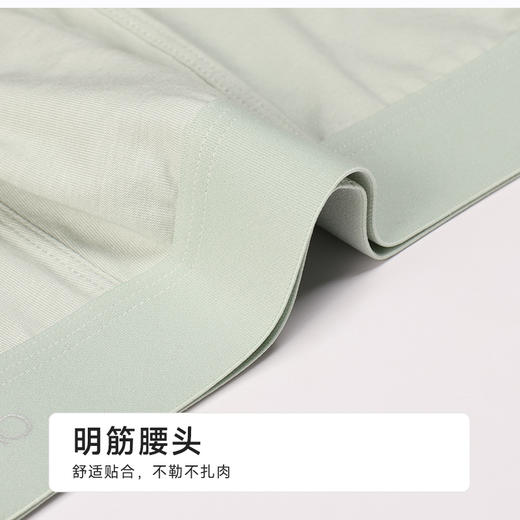 都市丽人棉平角干爽棉简约基础平角裤FKHC26 商品图4