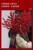 【新年绿植】红果冬青 真花鲜枝摆件新年植物（多样性发货） 商品缩略图2