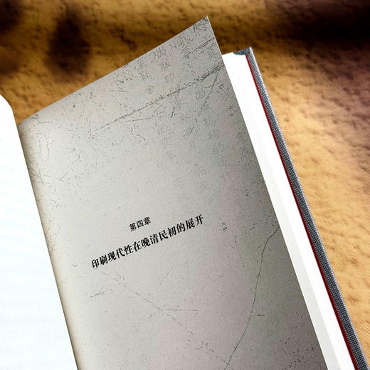 印刷现代性 晚清民初的技术转型与文学变革 雷启立 中国文学 商品图13