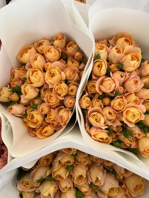 国产玫瑰-【果汁阳台】多头 商品图1