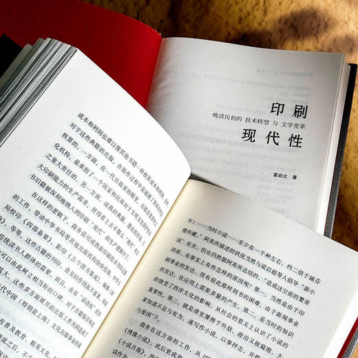 印刷现代性 晚清民初的技术转型与文学变革 雷启立 中国文学 商品图11